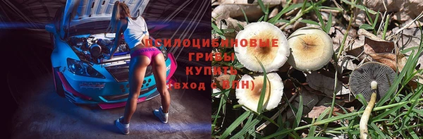скорость Бородино
